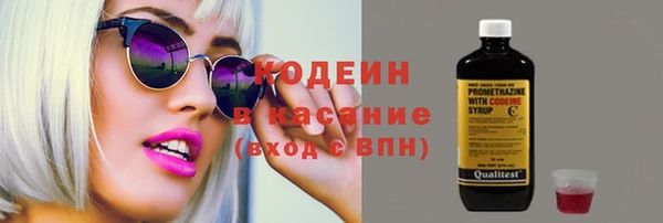 прущий лед Алзамай