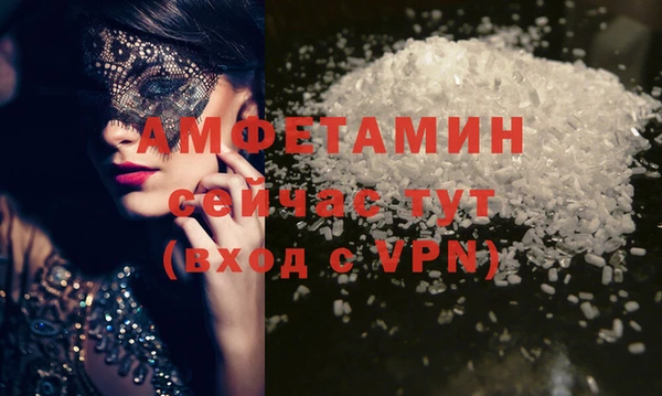 ГАЛЛЮЦИНОГЕННЫЕ ГРИБЫ Абаза